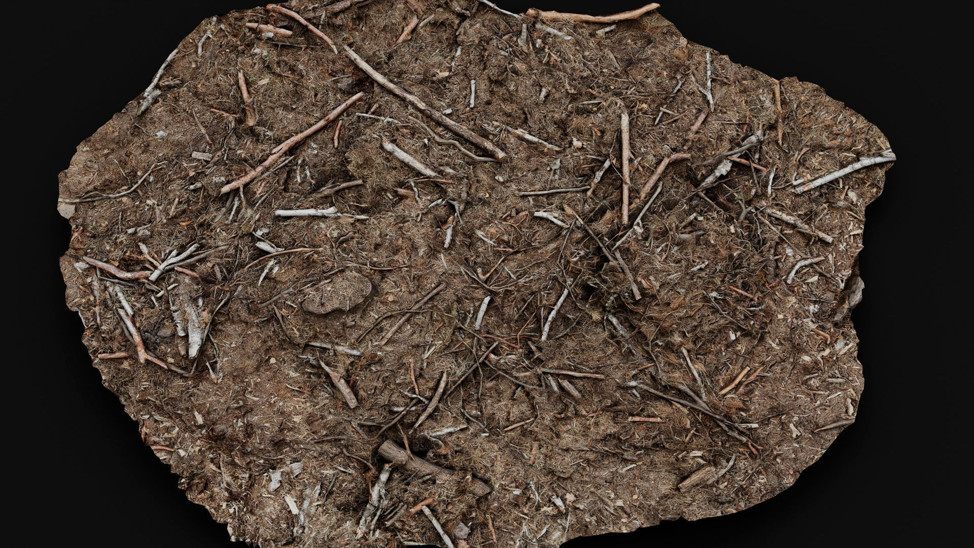 forest ground broken branches wood debris photogrammetry Low-poly 3D model_2