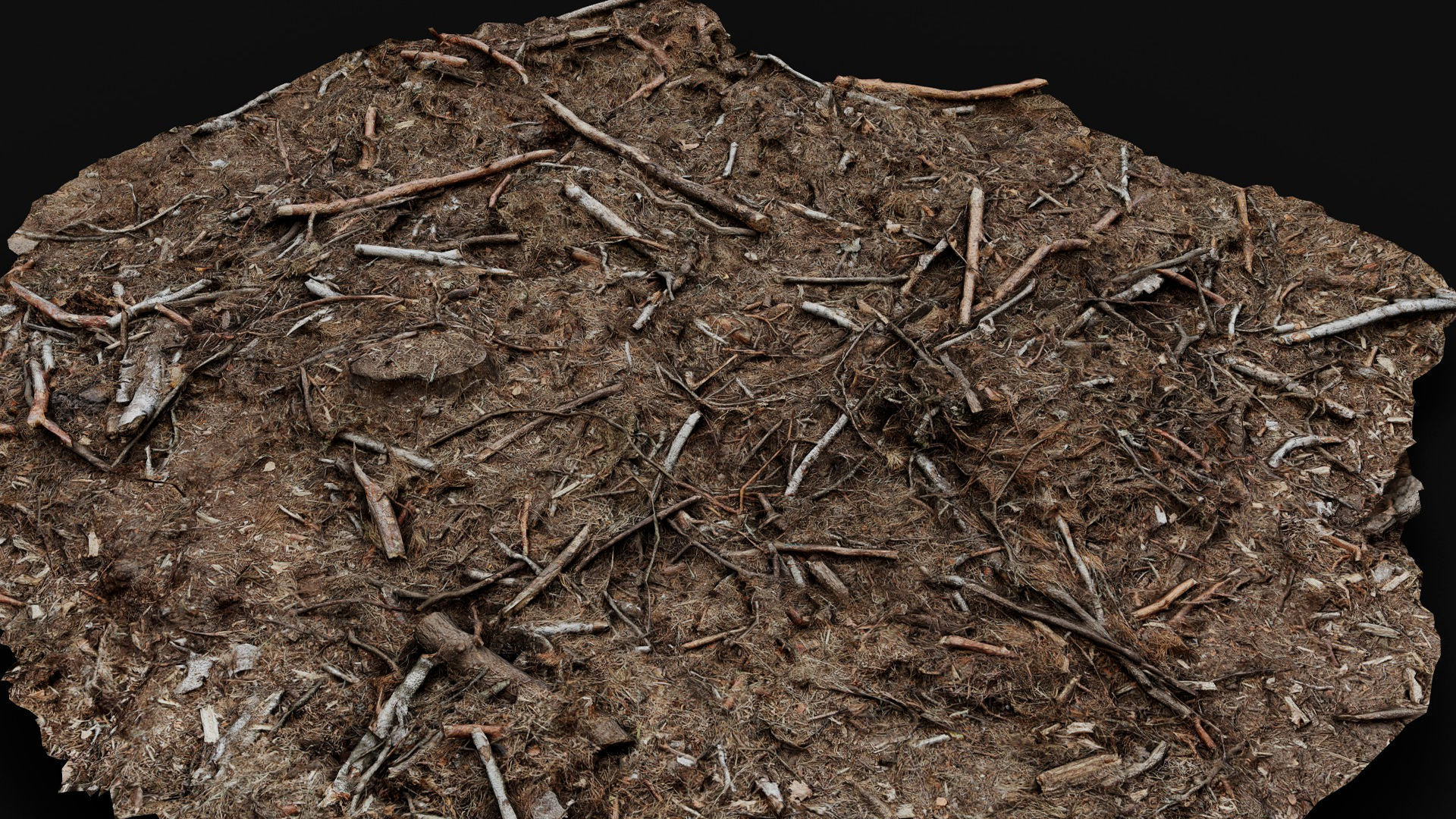 forest ground broken branches wood debris photogrammetry Low-poly 3D model_3