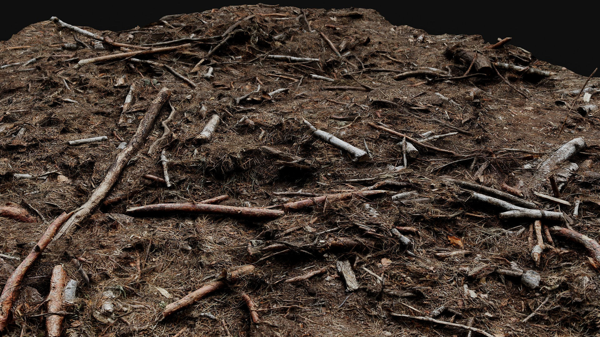 forest ground broken branches wood debris photogrammetry Low-poly 3D model_5