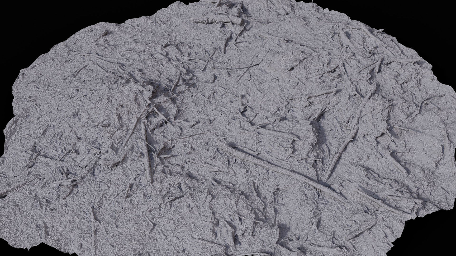 forest ground broken branches wood debris photogrammetry Low-poly 3D model_7