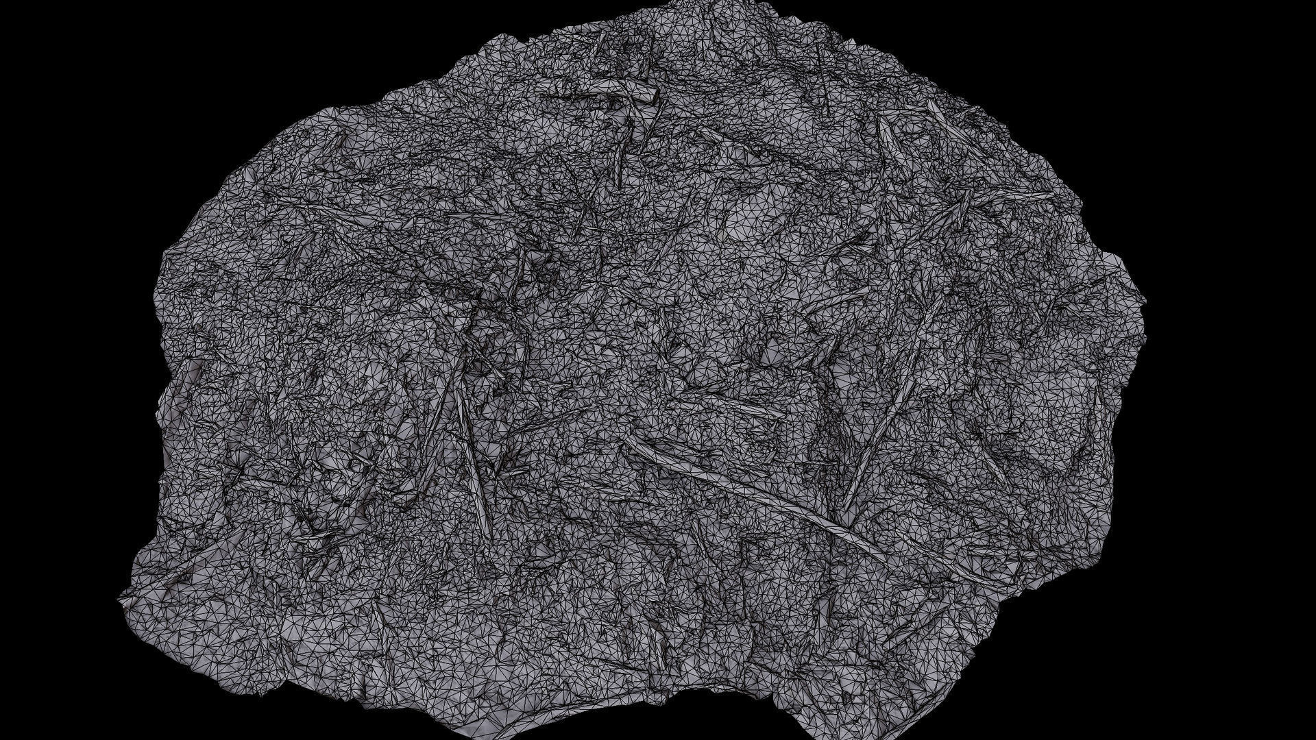 forest ground broken branches wood debris photogrammetry Low-poly 3D model_8