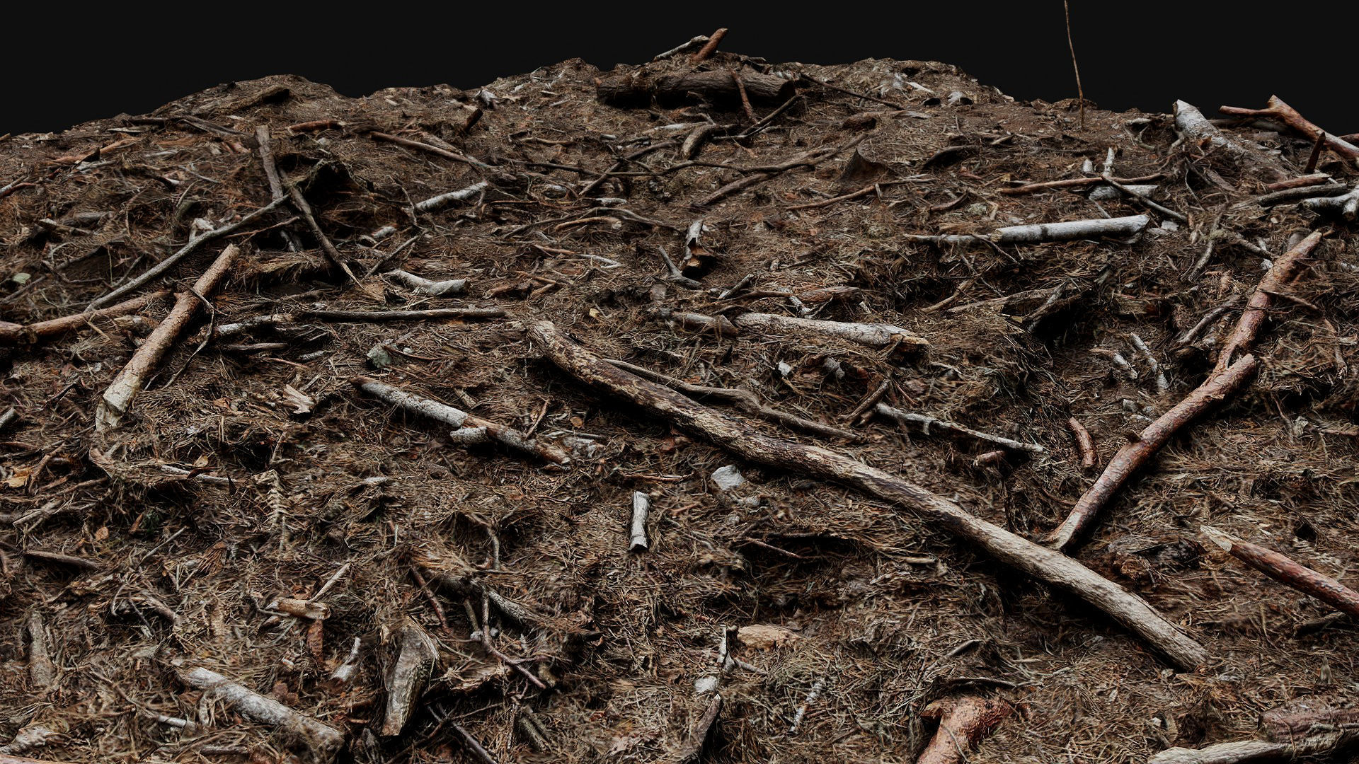 forest ground broken branches wood debris photogrammetry Low-poly 3D model_6