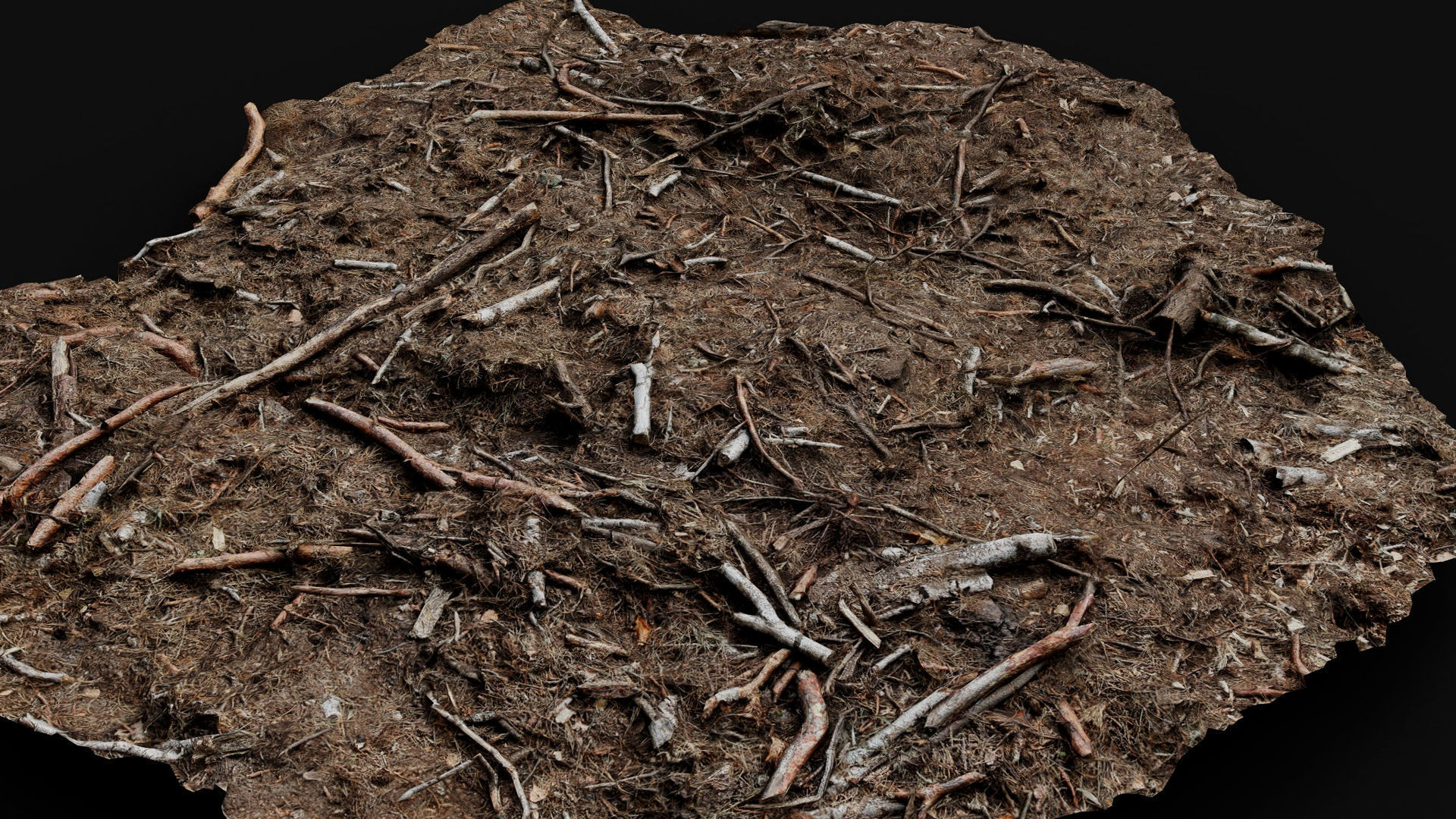 forest ground broken branches wood debris photogrammetry Low-poly 3D model_4