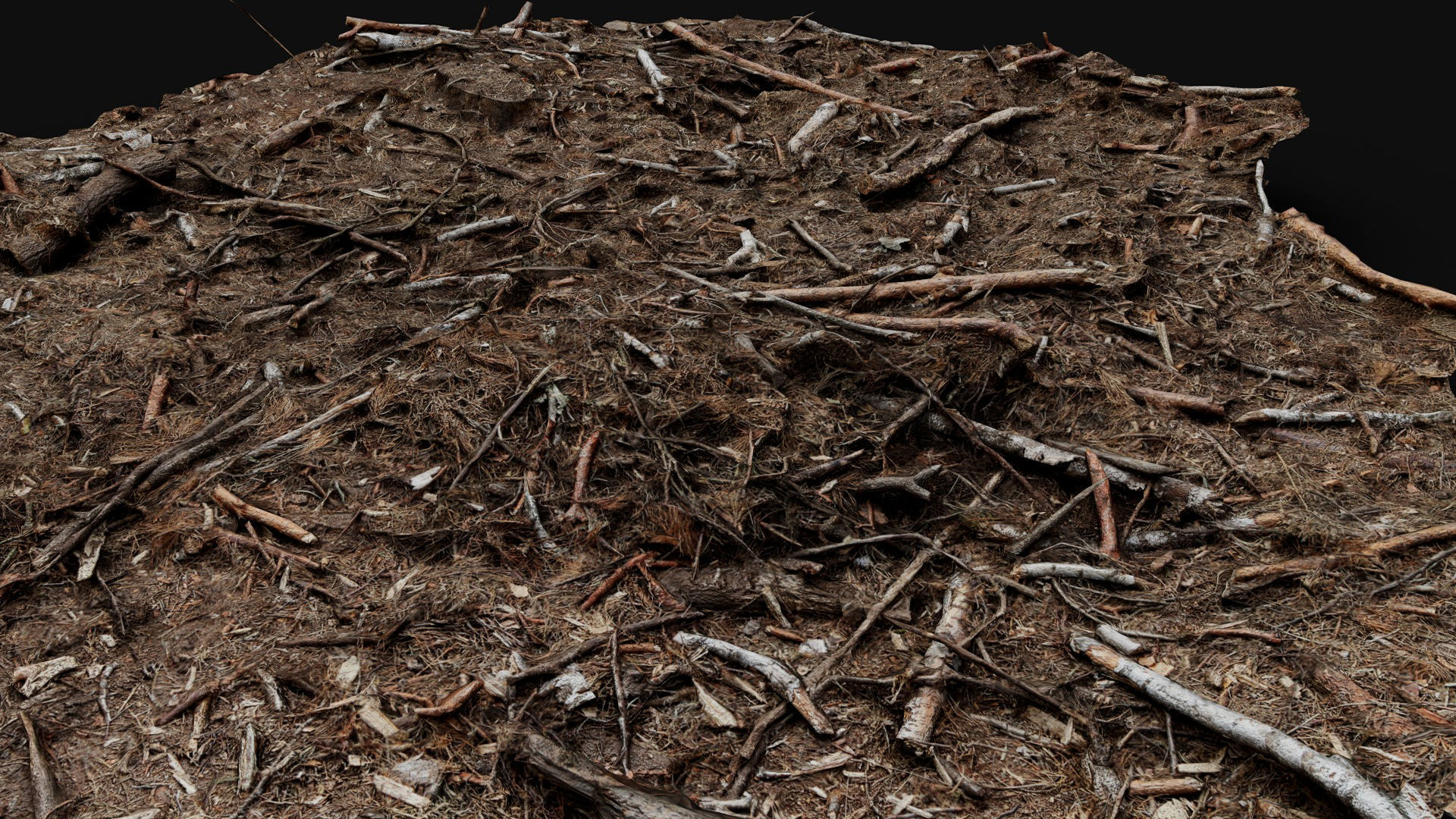 forest ground broken branches wood debris photogrammetry Low-poly 3D model_1