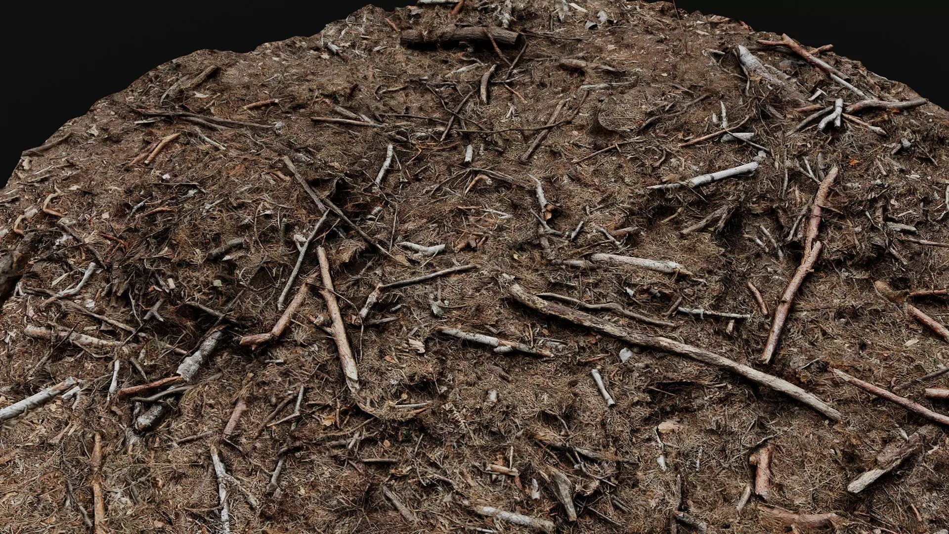 forest ground broken branches wood debris photogrammetry Low-poly 3D model_0