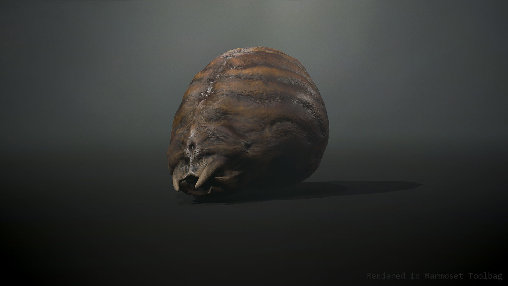 Worm Lt1 - Game Ready Low-poly 3D model Low-poly 3D model_4