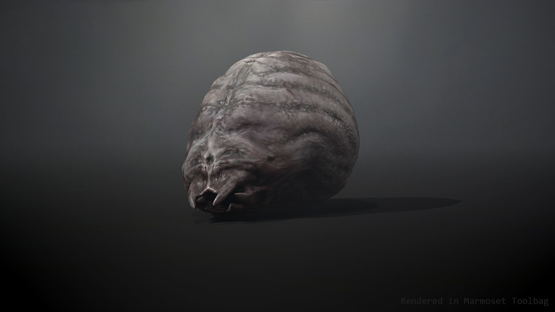 Worm Lt1 - Game Ready Low-poly 3D model Low-poly 3D model_2