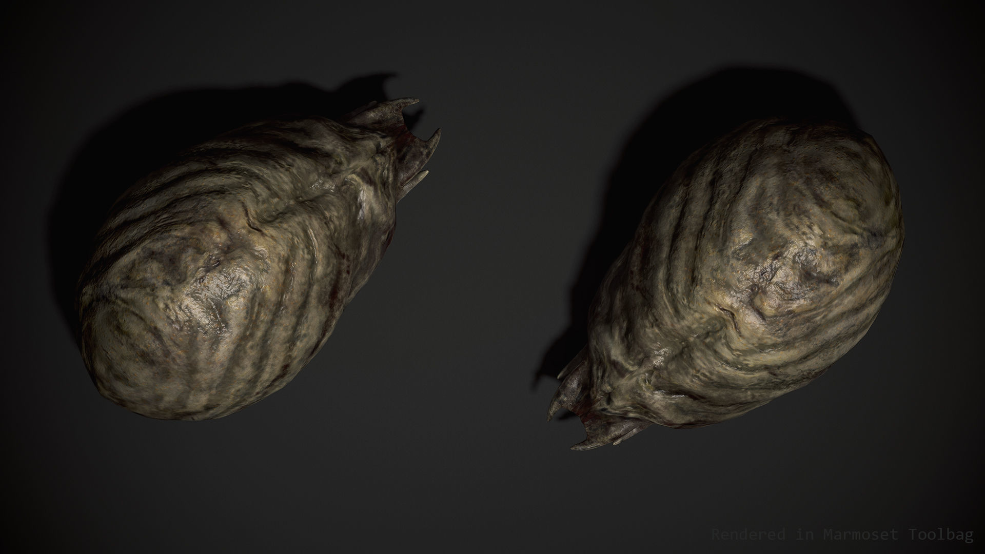 Worm Lt1 - Game Ready Low-poly 3D model Low-poly 3D model_5