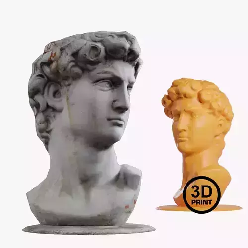 Low Poly Bust of David Low-poly 3D model