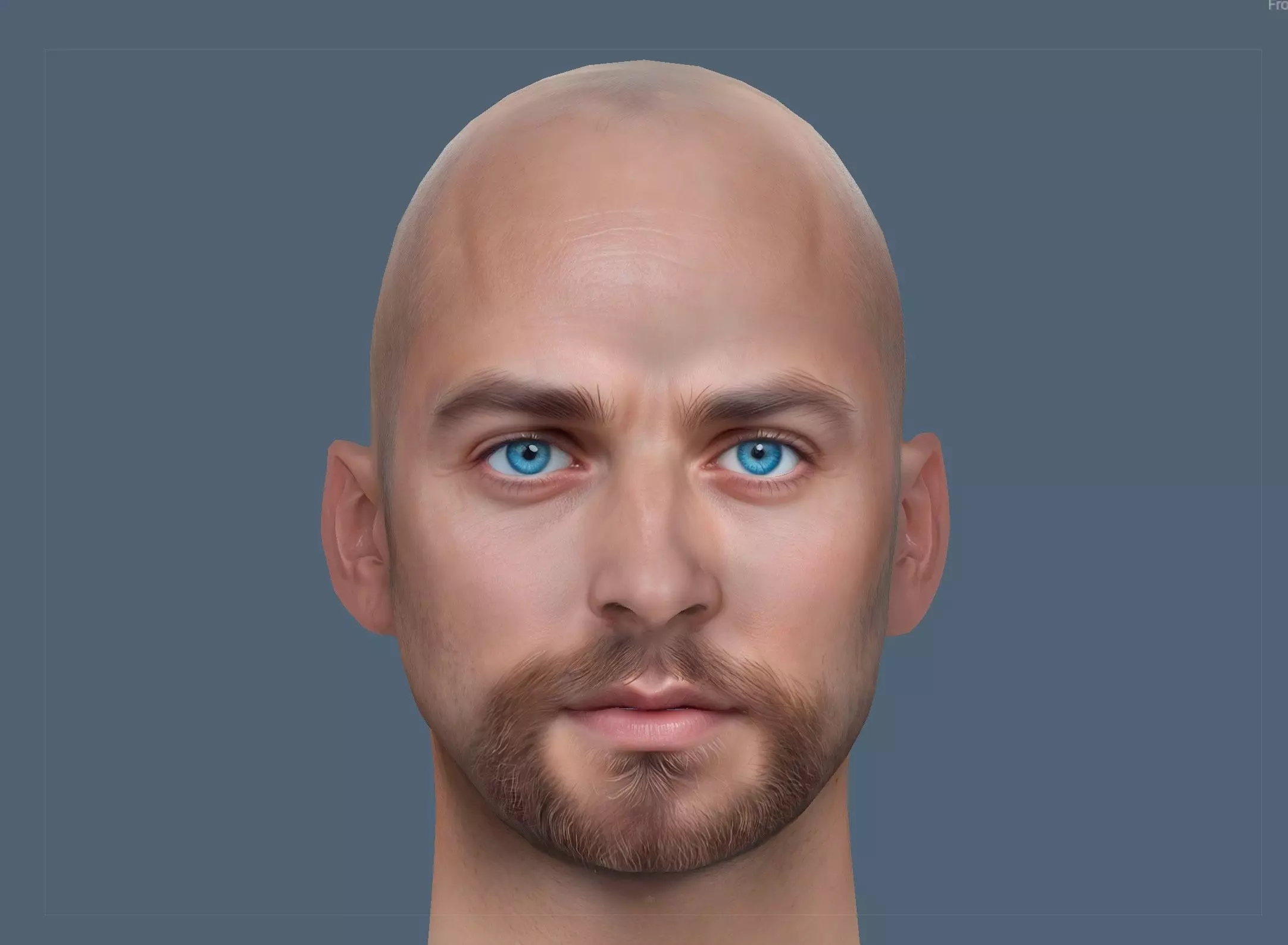 Male head Realistic Perfect Head Low-poly  Low-poly 3D model_0