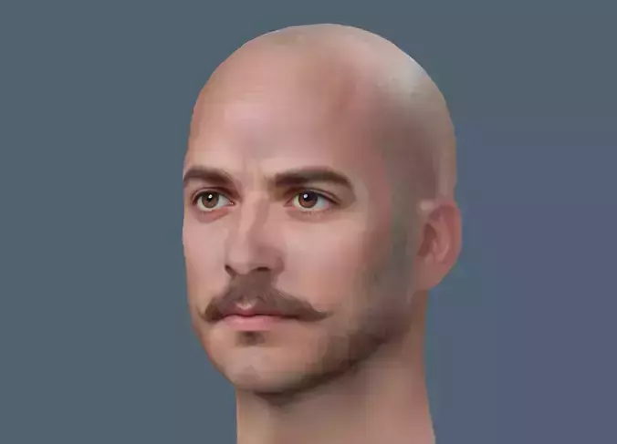 Male head Realistic Perfect Head