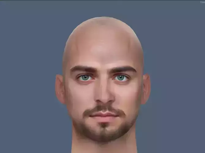 Male head Realistic Perfect Head Low-poly 3D