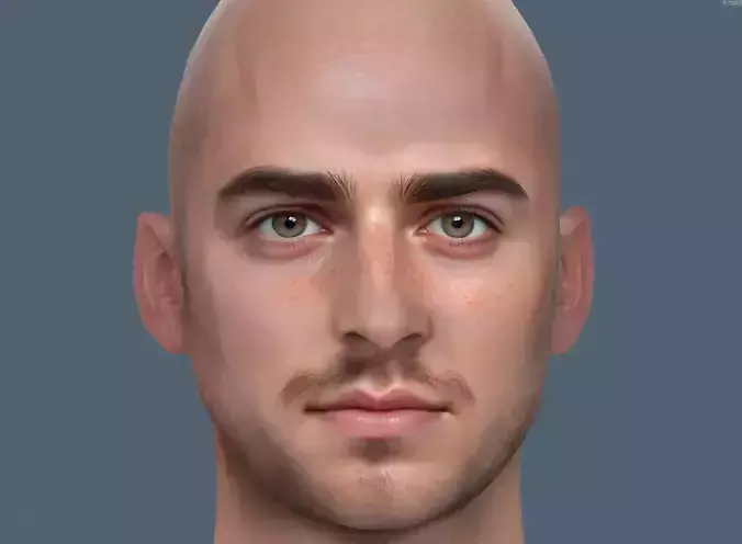 Male head Realistic Perfect Head Free low-poly 3D model
