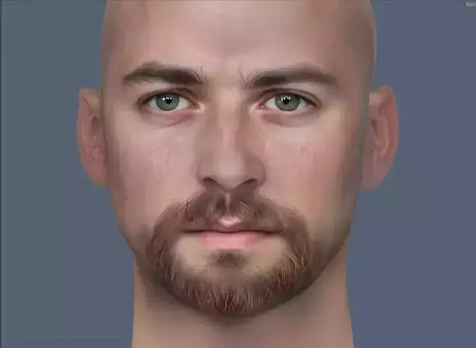 Male head Realistic Perfect Head 