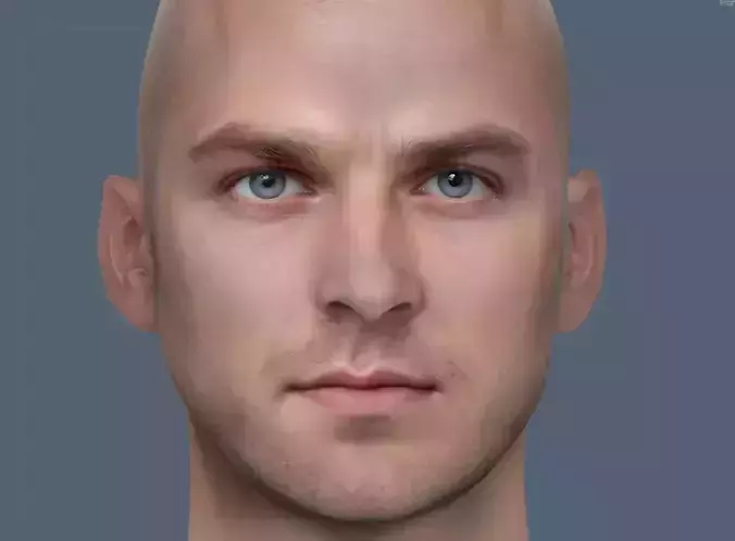 Male head Realistic Perfect Head 