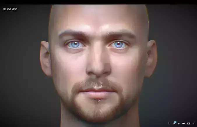 Male head Realistic Perfect Head Low-poly 