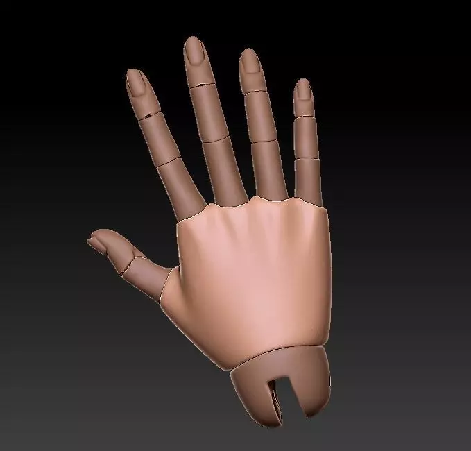 Handbjd Free 3D print model