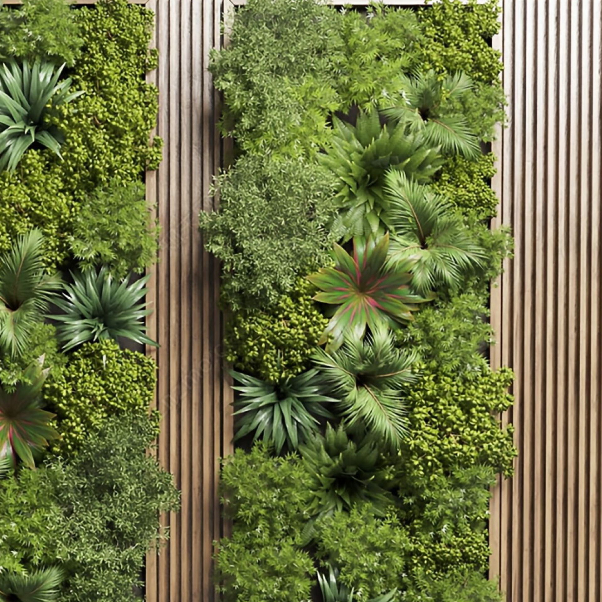 Plant background wal 3D model_4