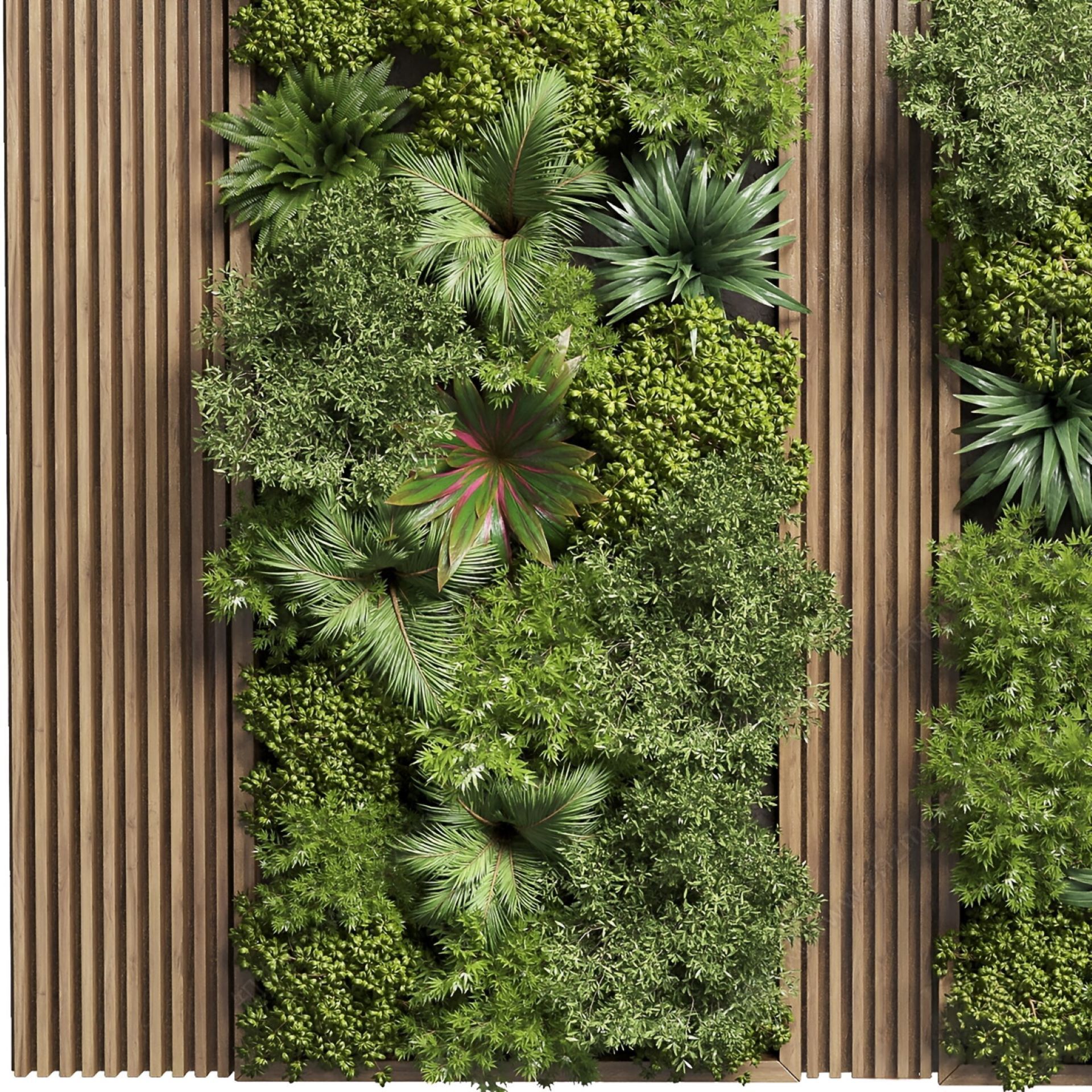 Plant background wal 3D model_1