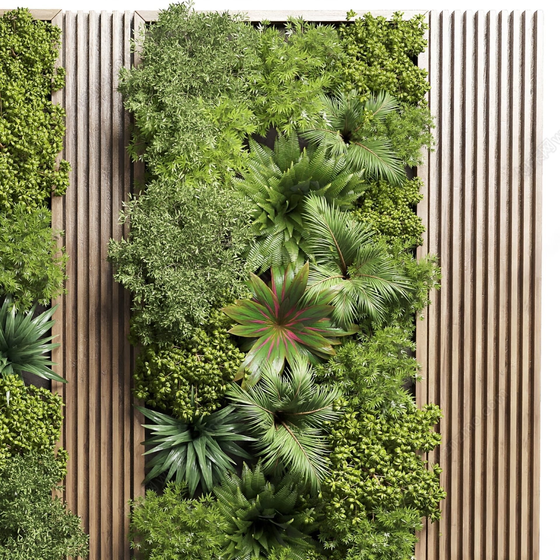 Plant background wal 3D model_3