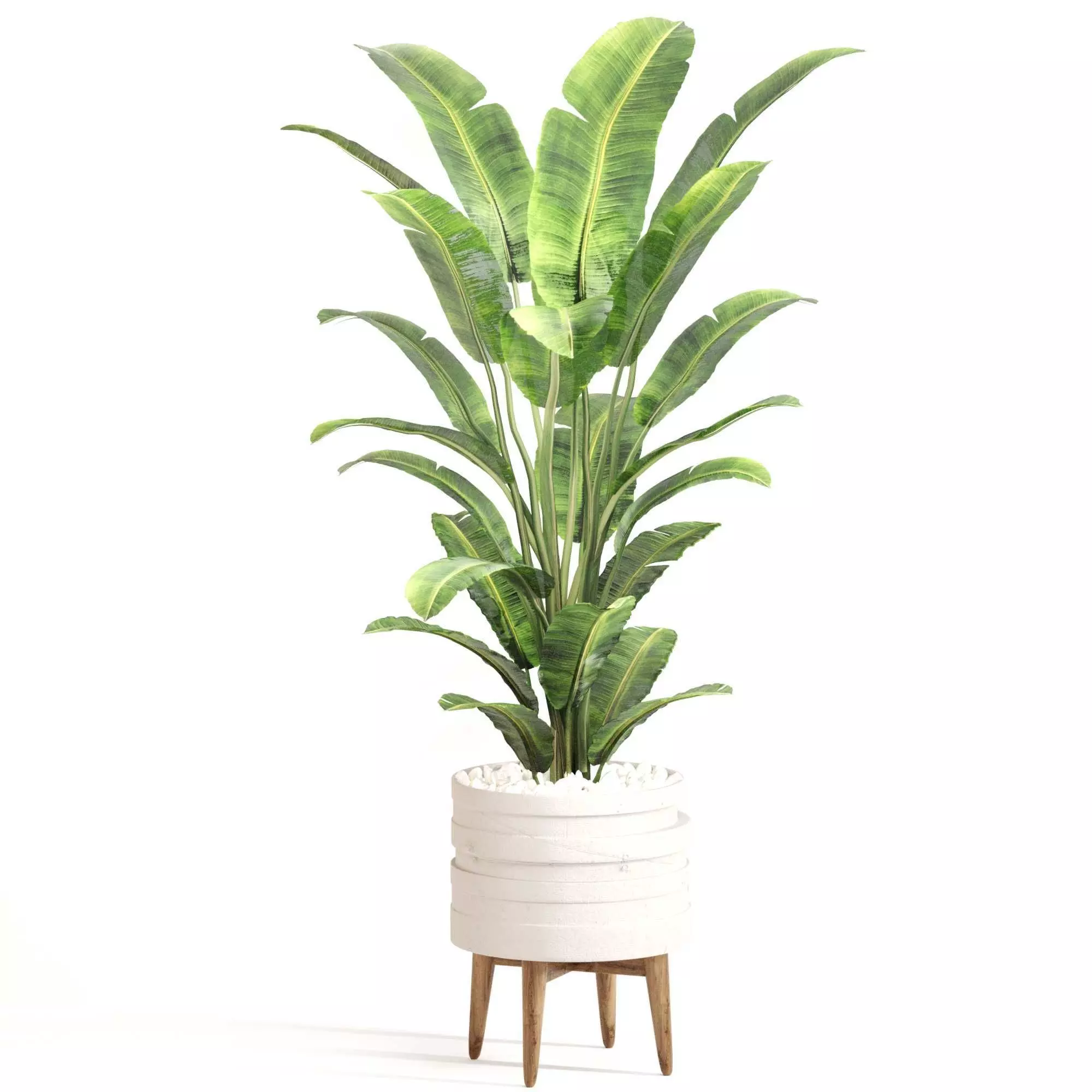 Indoor Plant Set 0128 3D model