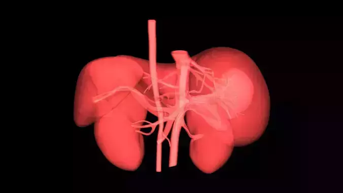  3D Model of Pre- and Post- Operative Liver