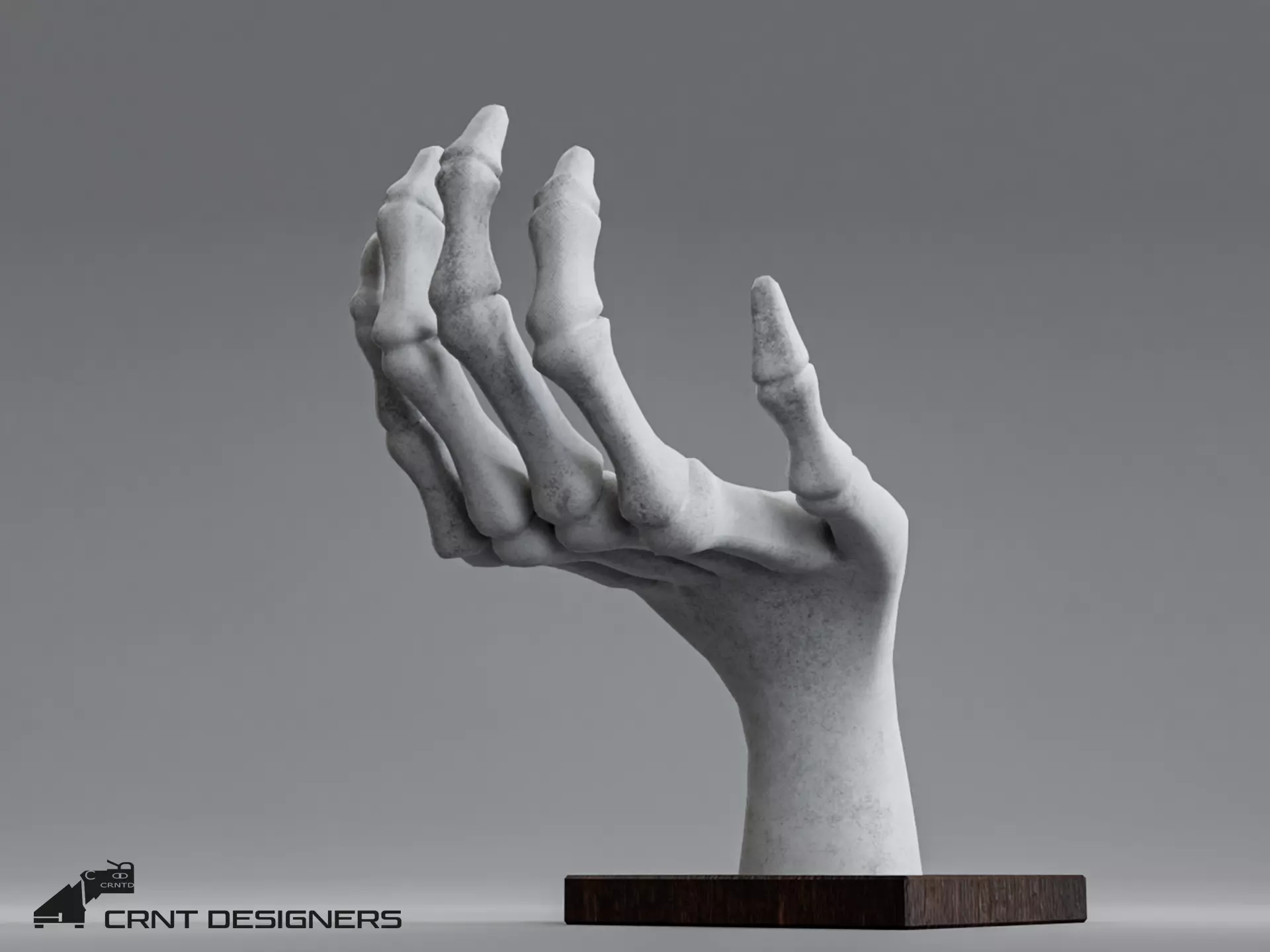 Human Hand Skeleton Low-poly 3D model_0