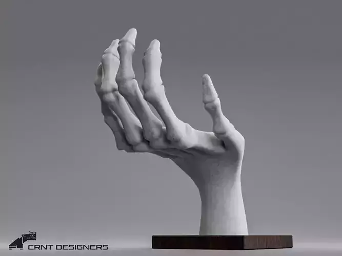 Human Hand Skeleton Low-poly 3D model