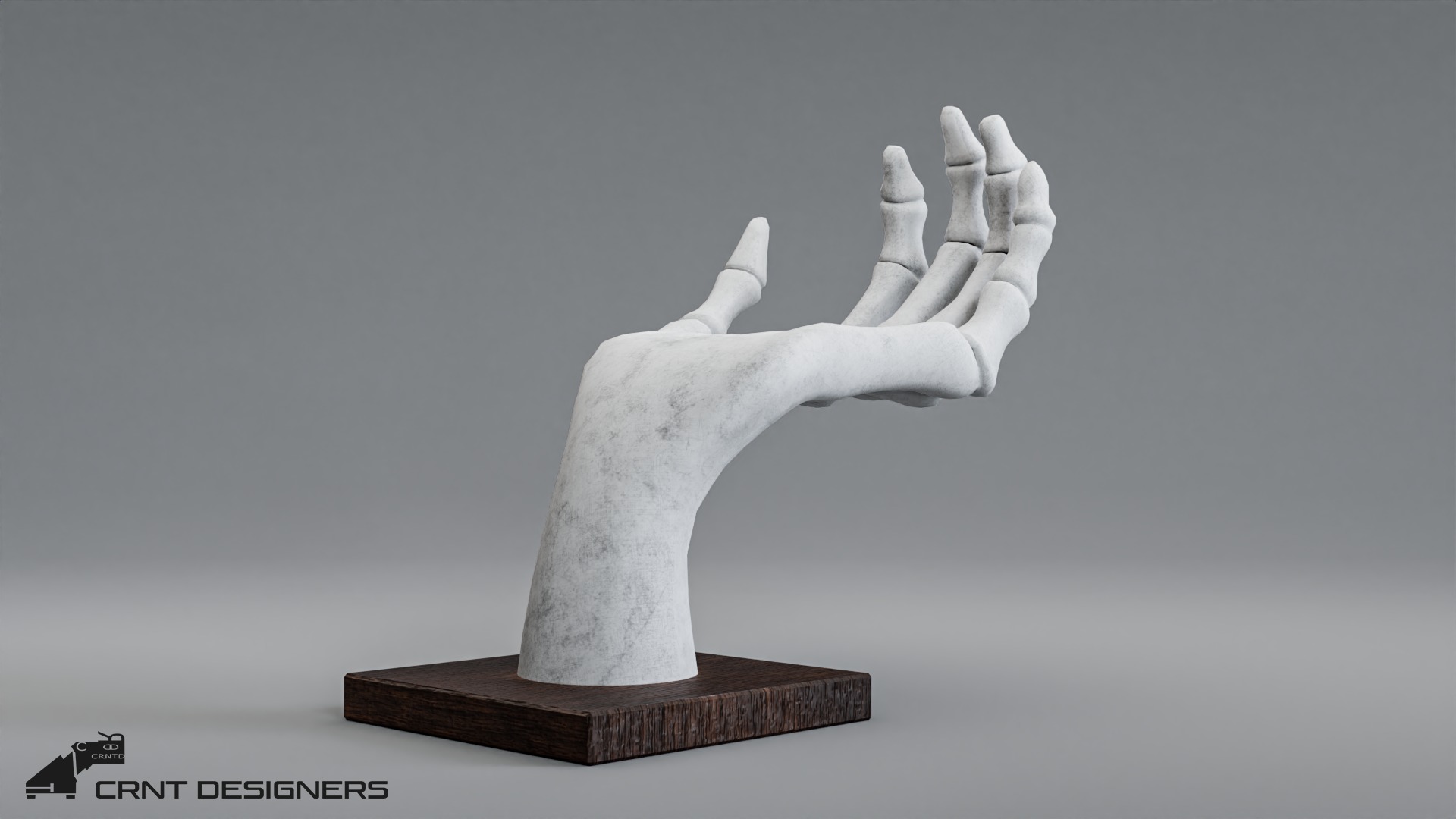 Human Hand Skeleton Low-poly 3D model_6