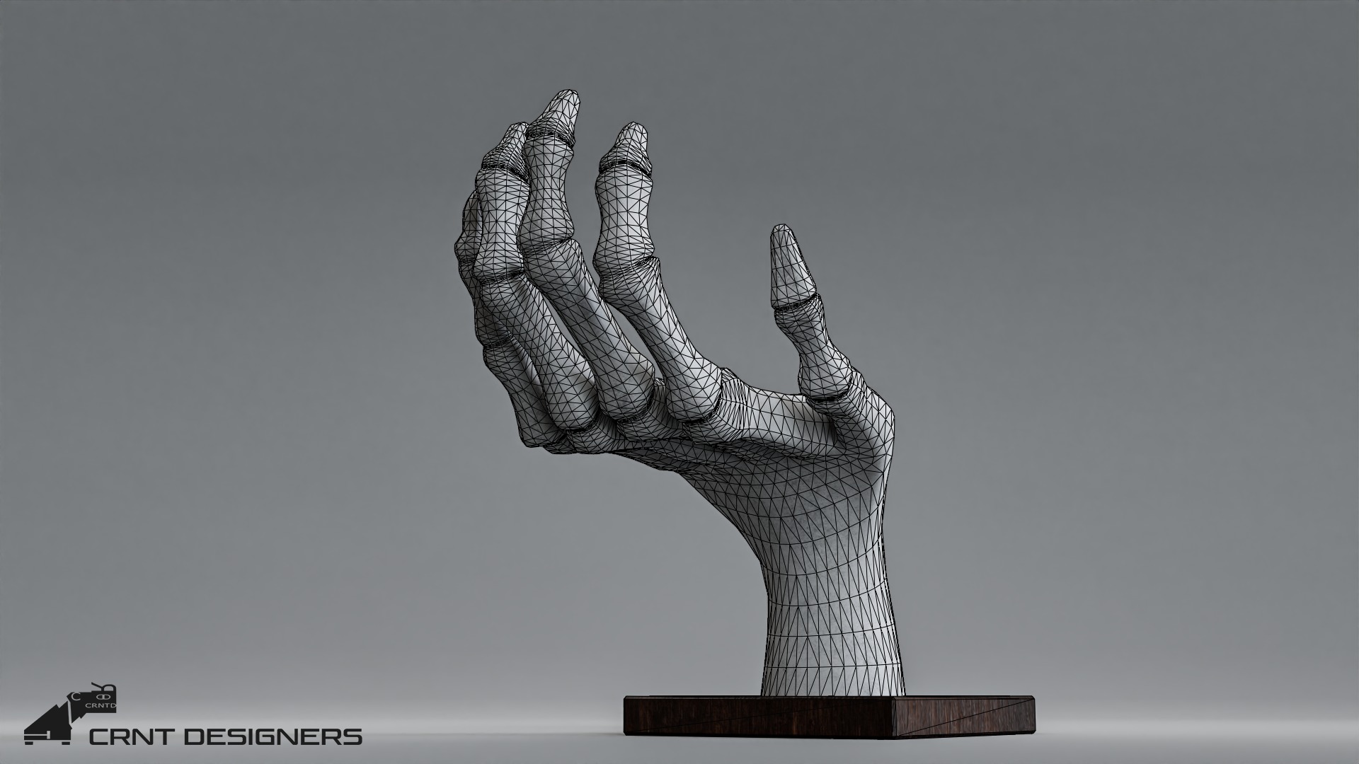 Human Hand Skeleton Low-poly 3D model_11