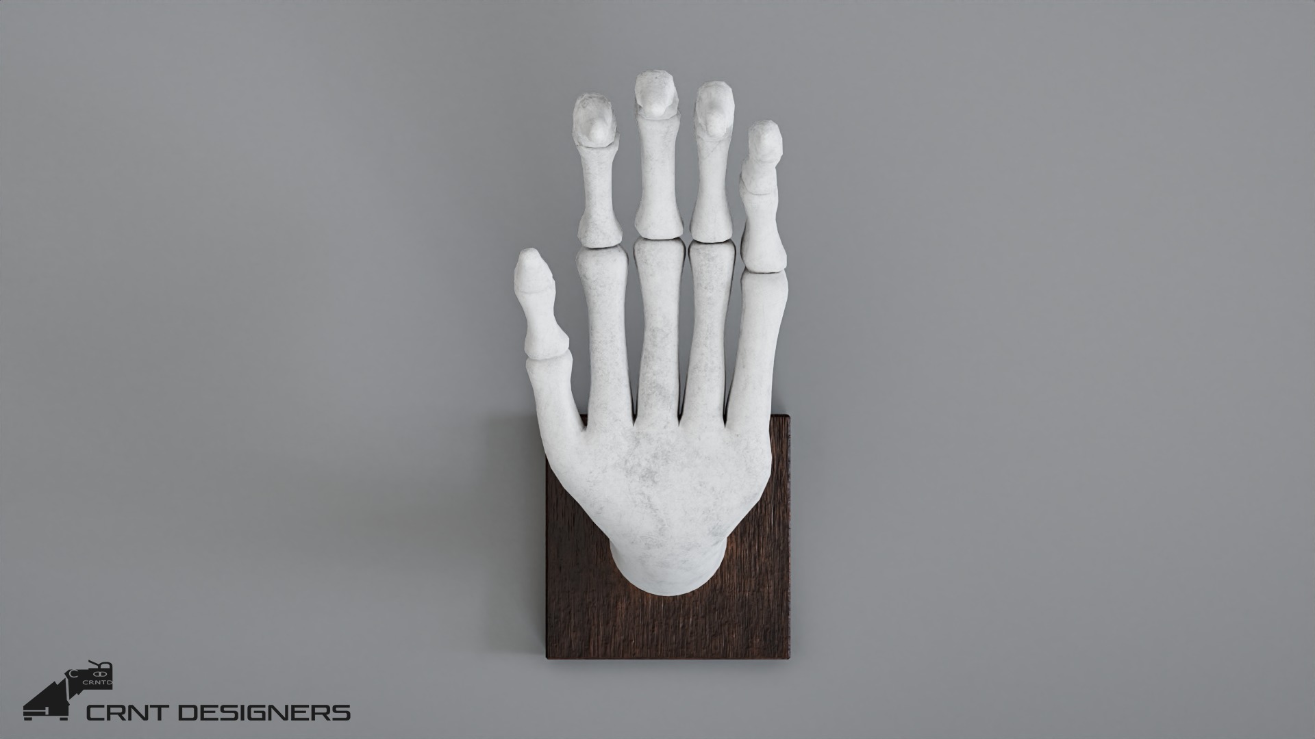 Human Hand Skeleton Low-poly 3D model_9