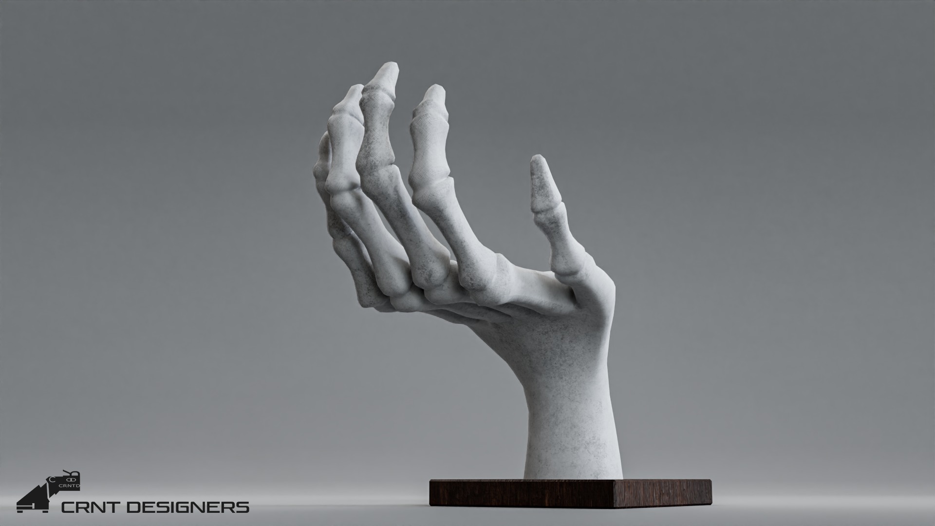 Human Hand Skeleton Low-poly 3D model_10