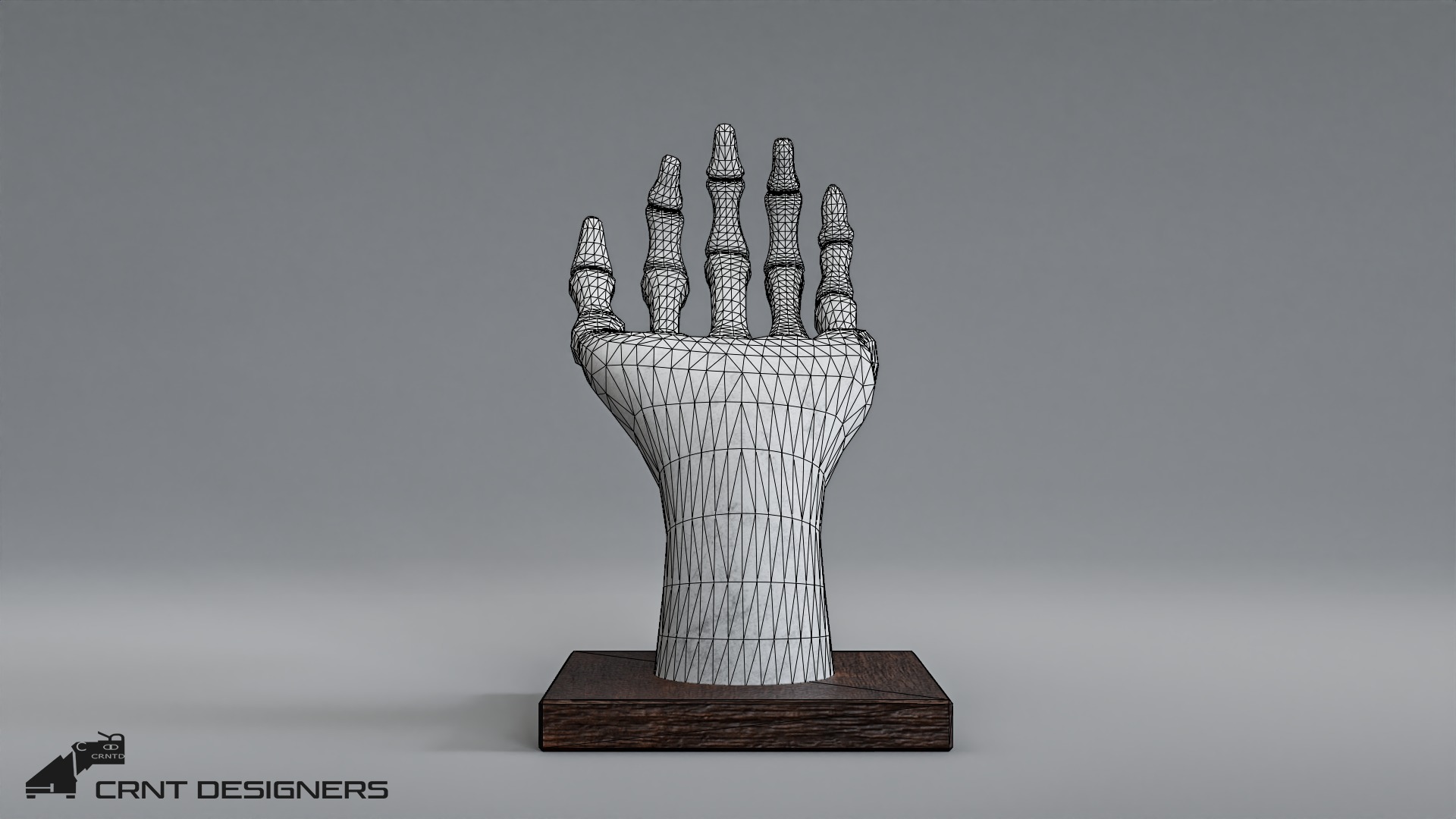 Human Hand Skeleton Low-poly 3D model_8