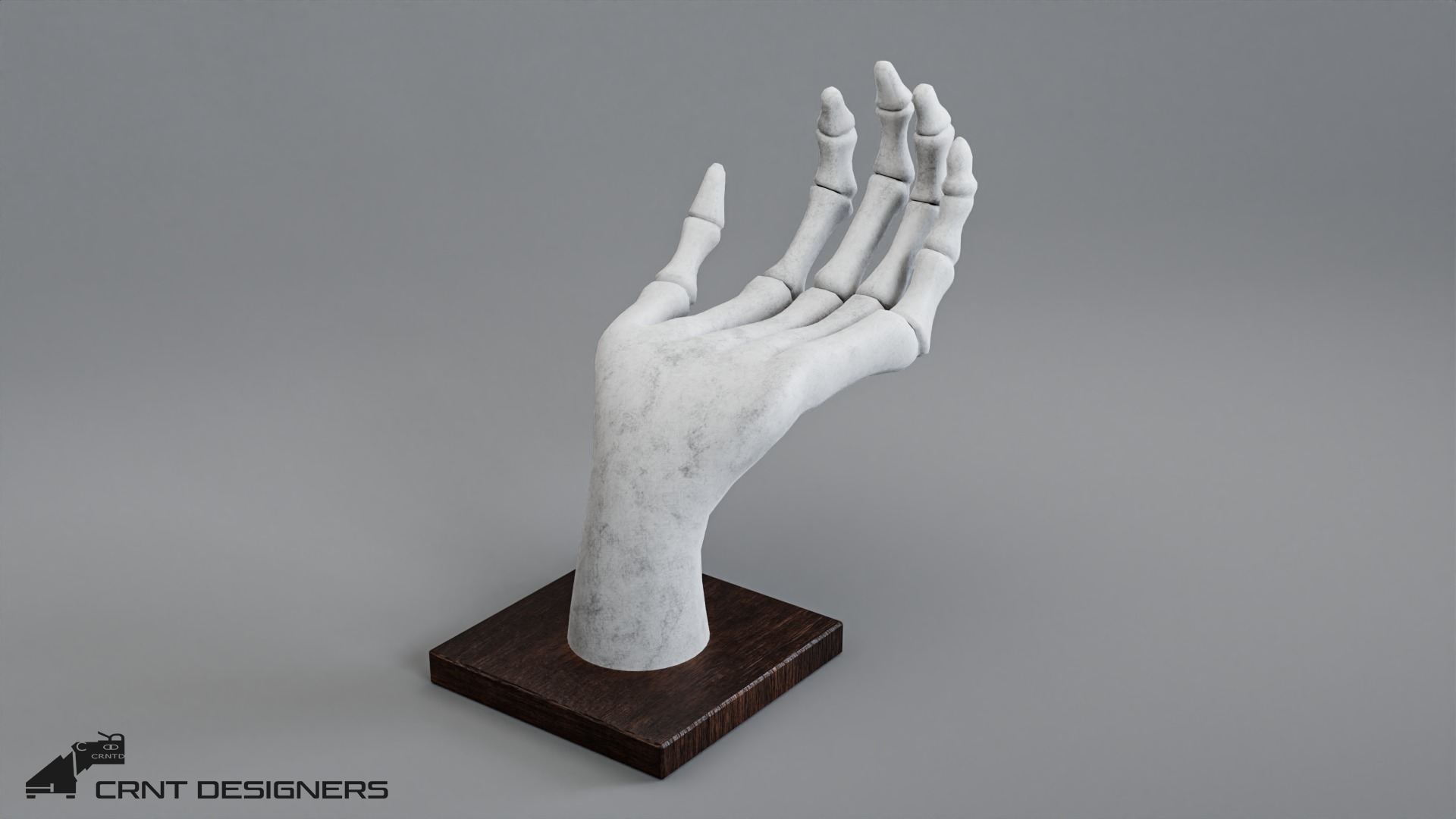 Human Hand Skeleton Low-poly 3D model_1