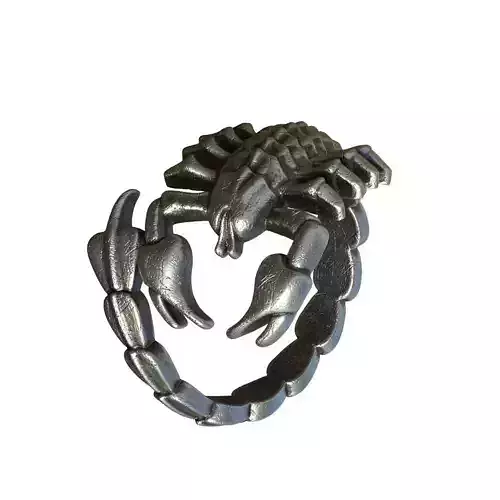 N249 Scorpion ring 3D print model