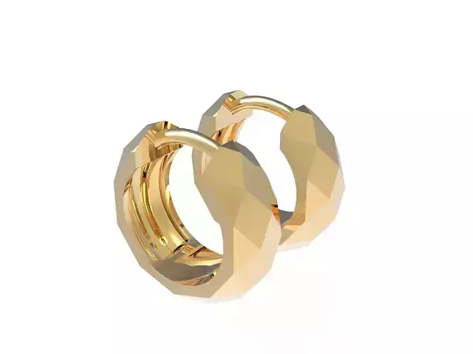 Faceted Hoop Earrings