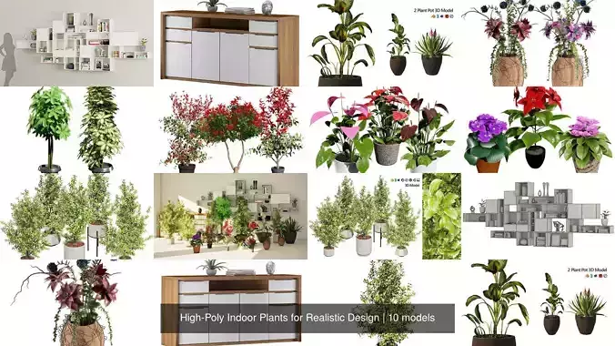 High-Poly Indoor Plants for Realistic Design 3D Model Collection