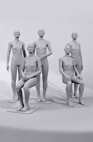 luxury female fashion mannequin regal composition