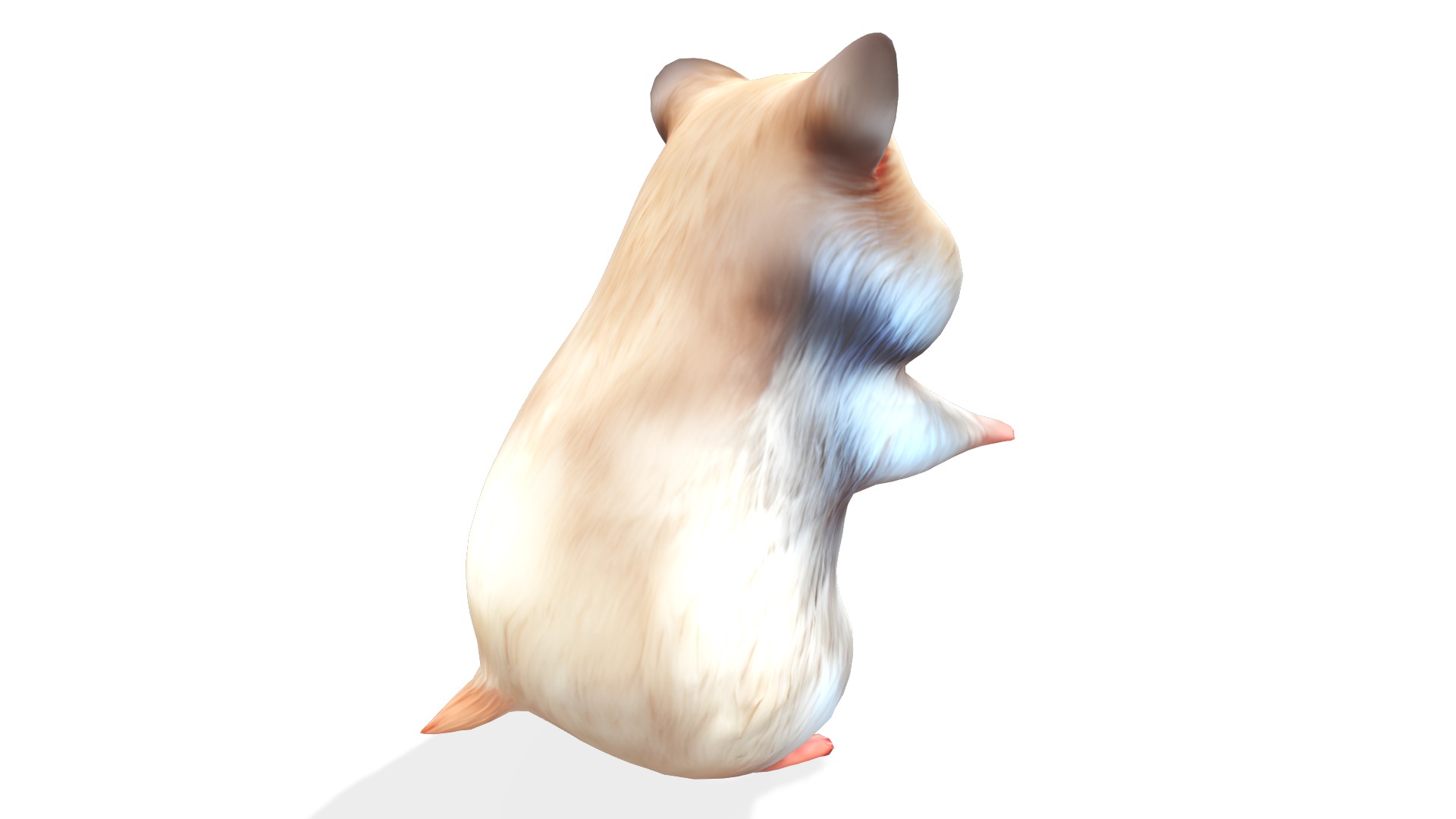 Hamsley the Adventurous Hamster Low-poly 3D model_4