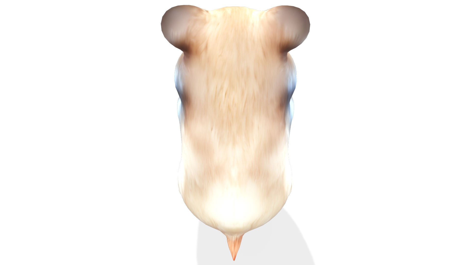 Hamsley the Adventurous Hamster Low-poly 3D model_5