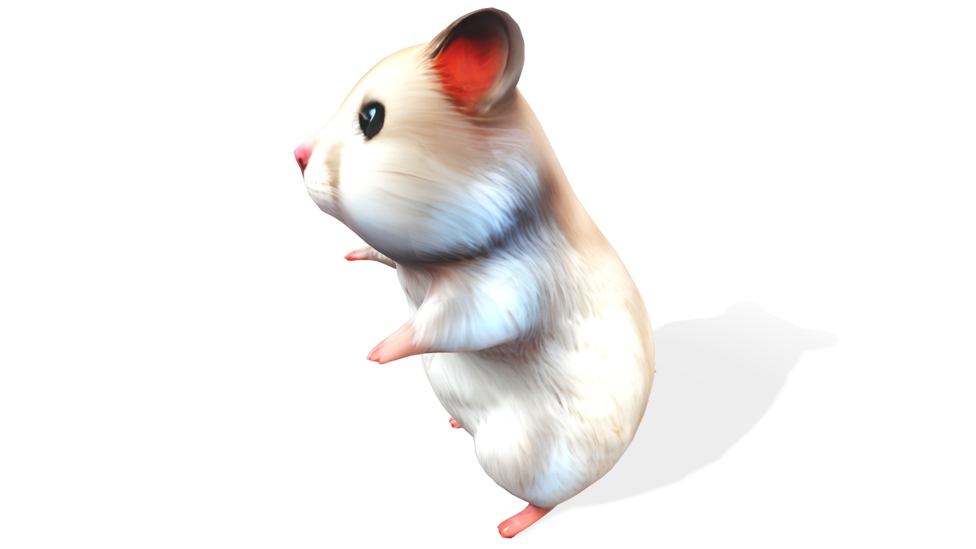 Hamsley the Adventurous Hamster Low-poly 3D model_2