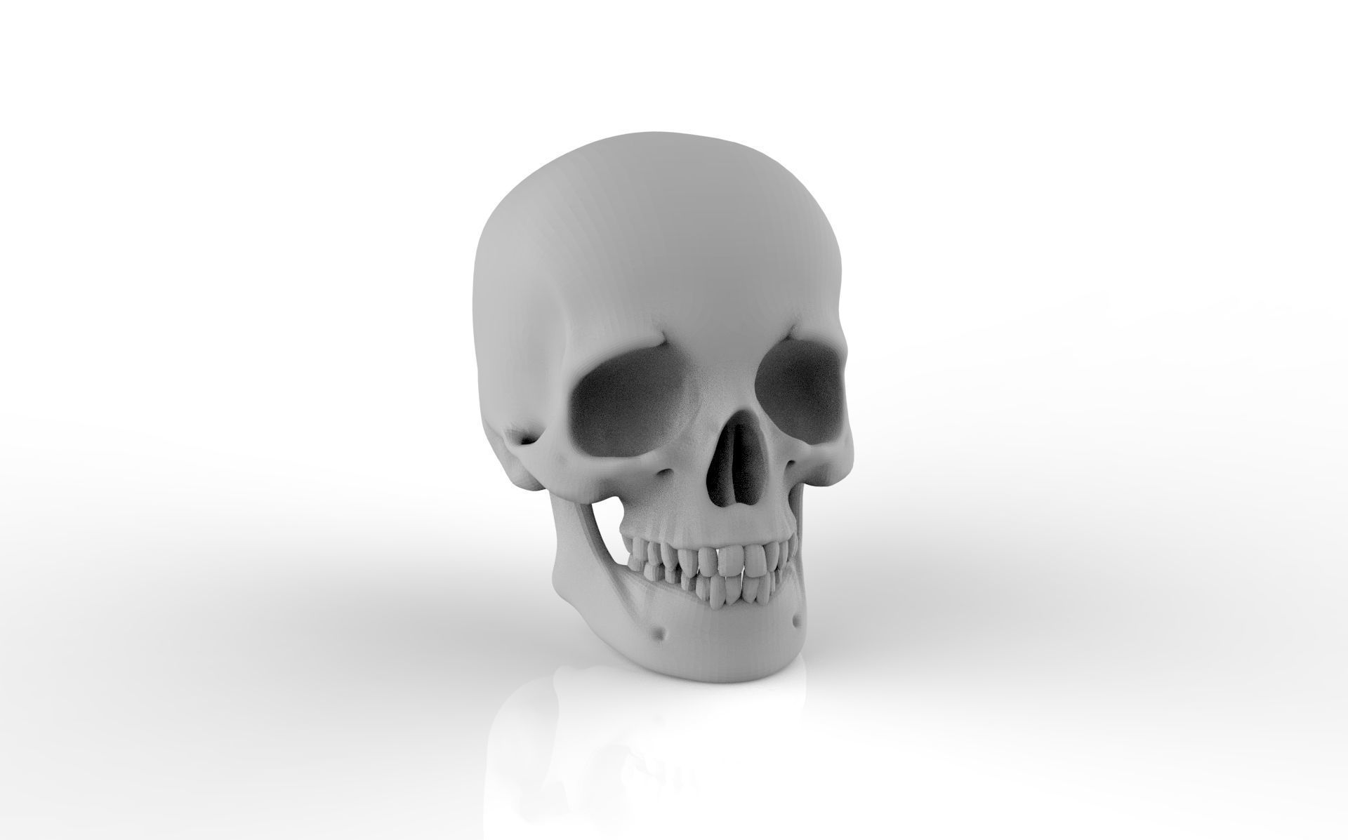 Skull Zbrush Sculpt 3D print model  3D print model_1