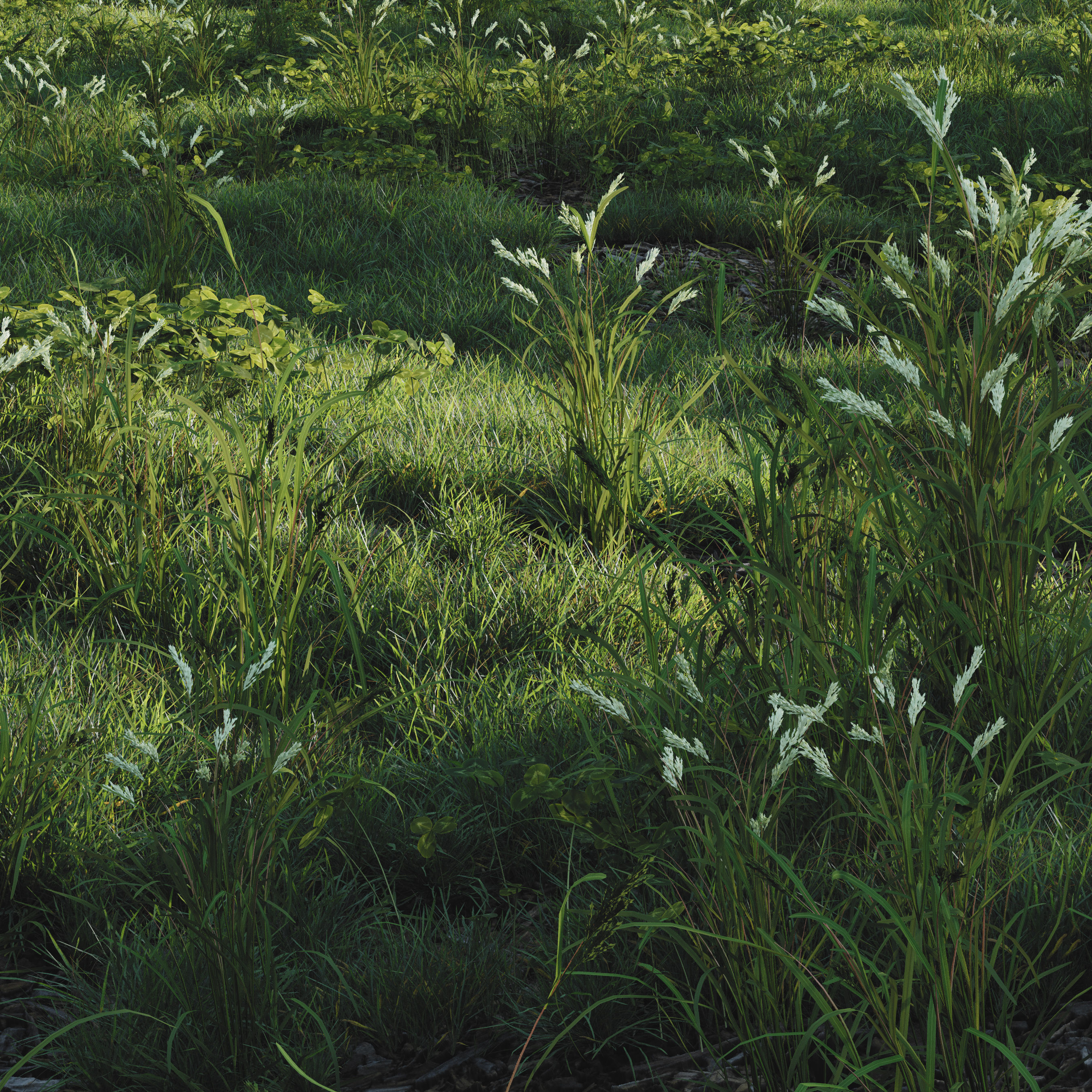  forest grass shuba 2 3D model_4