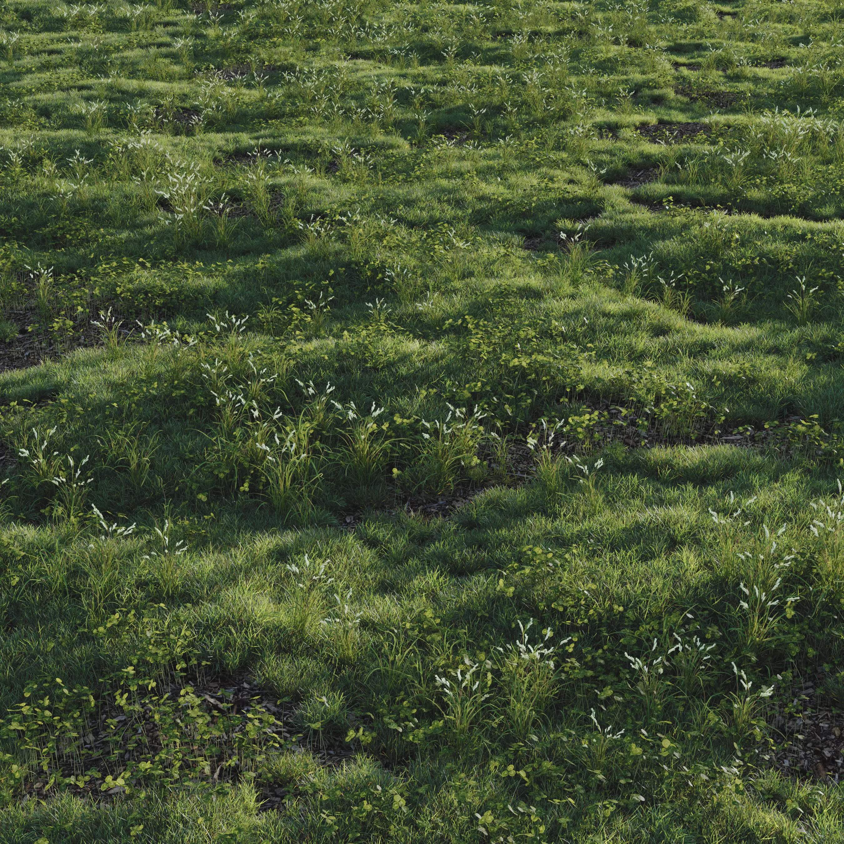  forest grass shuba 2 3D model_0