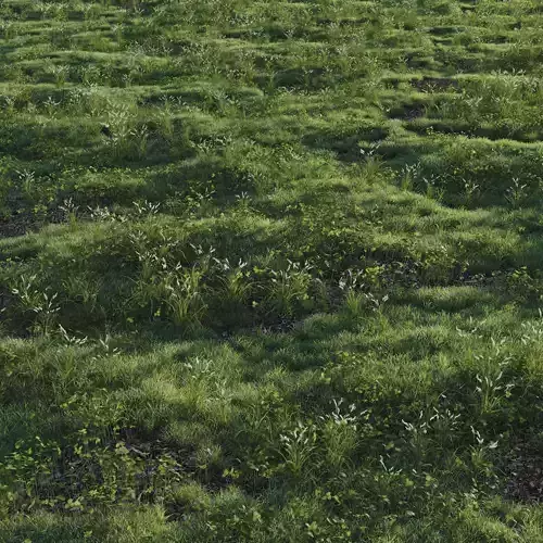  forest grass shuba 2