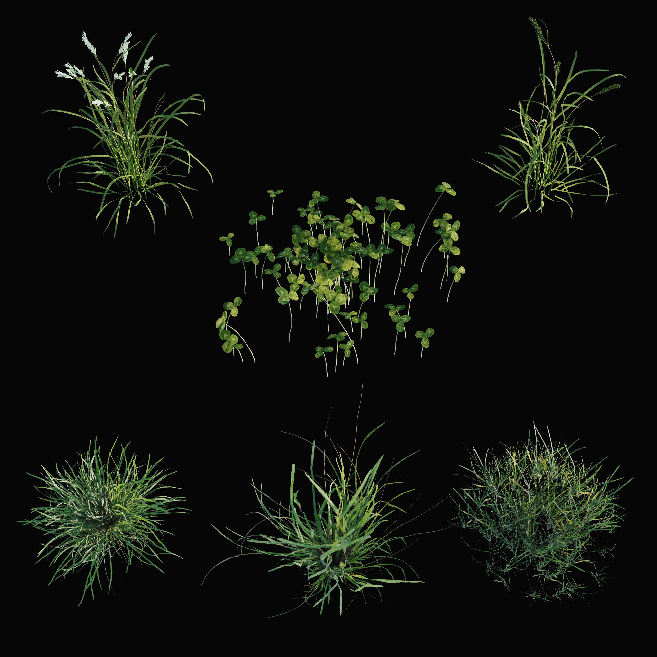  forest grass shuba 2 3D model_5