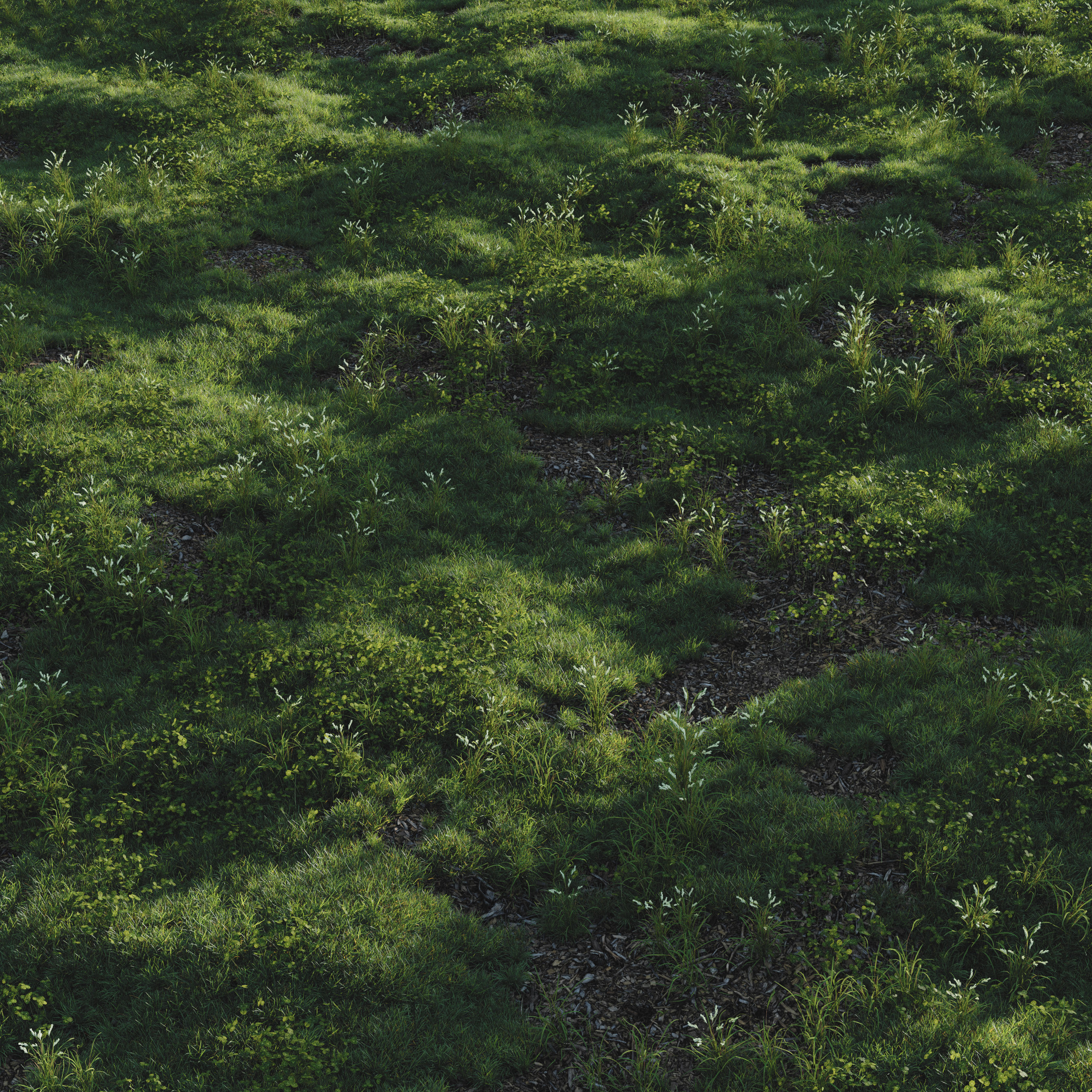  forest grass shuba 2 3D model_3