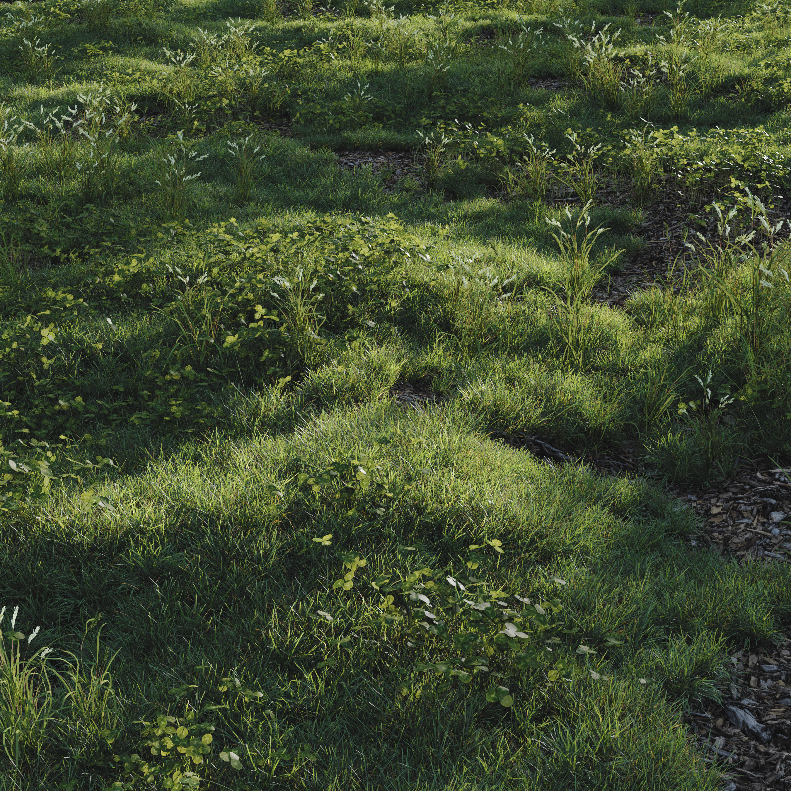  forest grass shuba 2 3D model_2