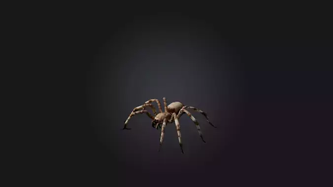 Giant Spider Low-poly 3D model