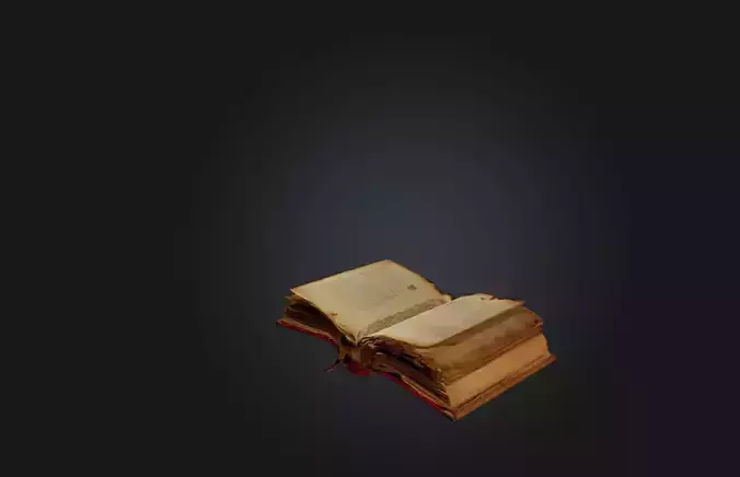 Rare Manuscript or Book